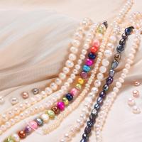 The Beauty of Shell & Pearl Beads: A Timeless and Elegant Addition to Your Jewelry Collection