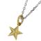 Star Pendant and Chain Necklace 