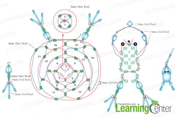 diagram of the beaded frog
